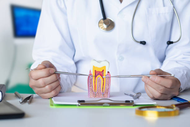 Best Broken or Chipped Tooth Repair in Mason Neck, VA